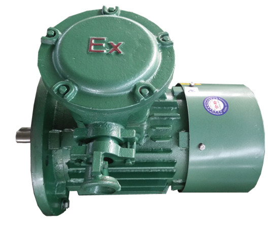 防爆電機(jī)